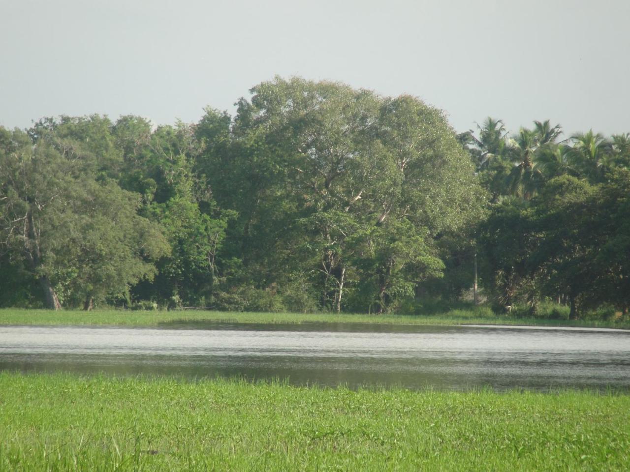 Kulama, The Lake Villa Wanniyankulama West Exterior photo