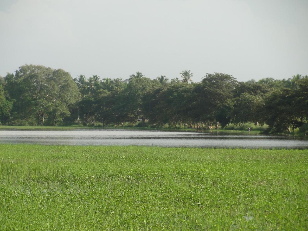 Kulama, The Lake Villa Wanniyankulama West Exterior photo